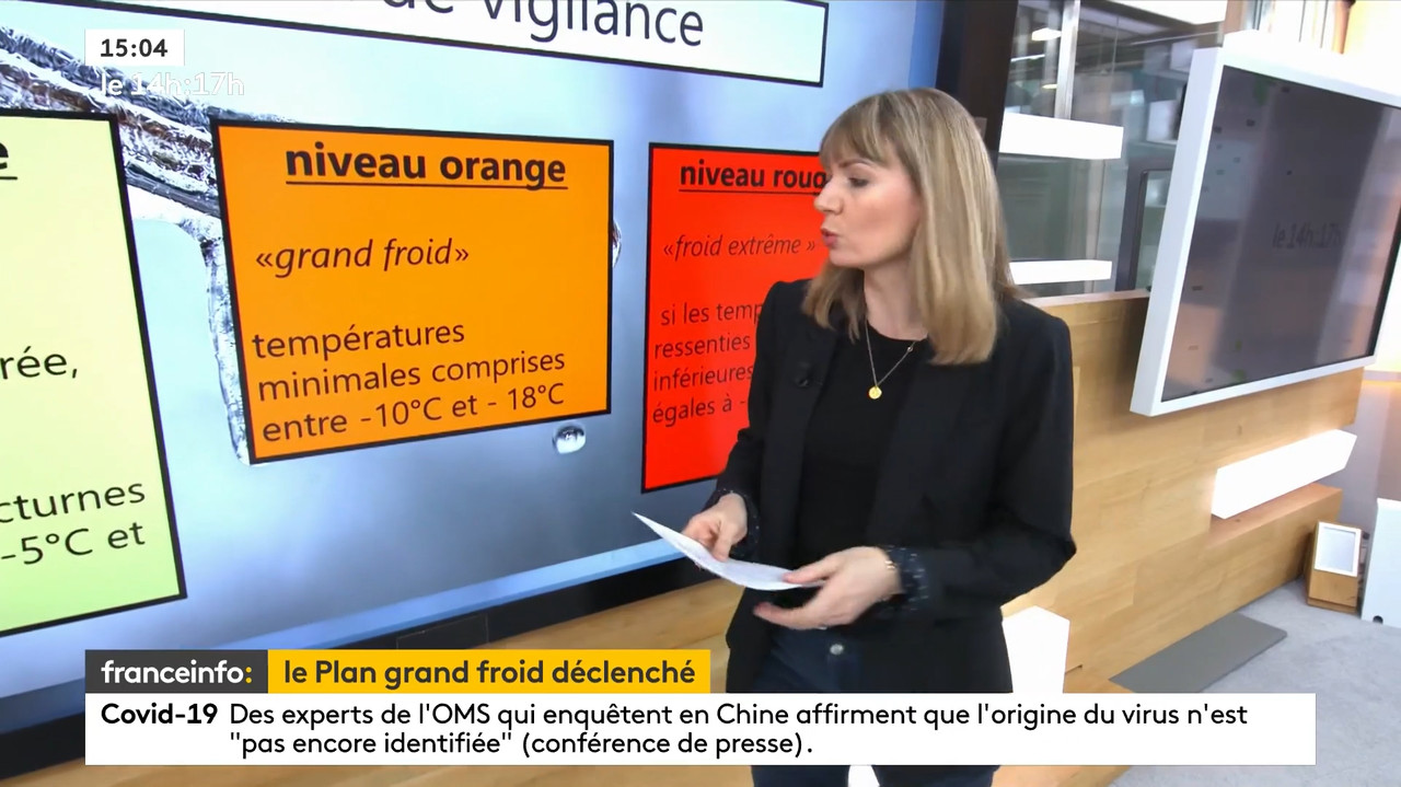 02.09 - 12.59.00 - Le 14H-17H. Au Sommaire   Vrai Ou Fake. - Francein...-1.m4v_snapshot_55.30.449