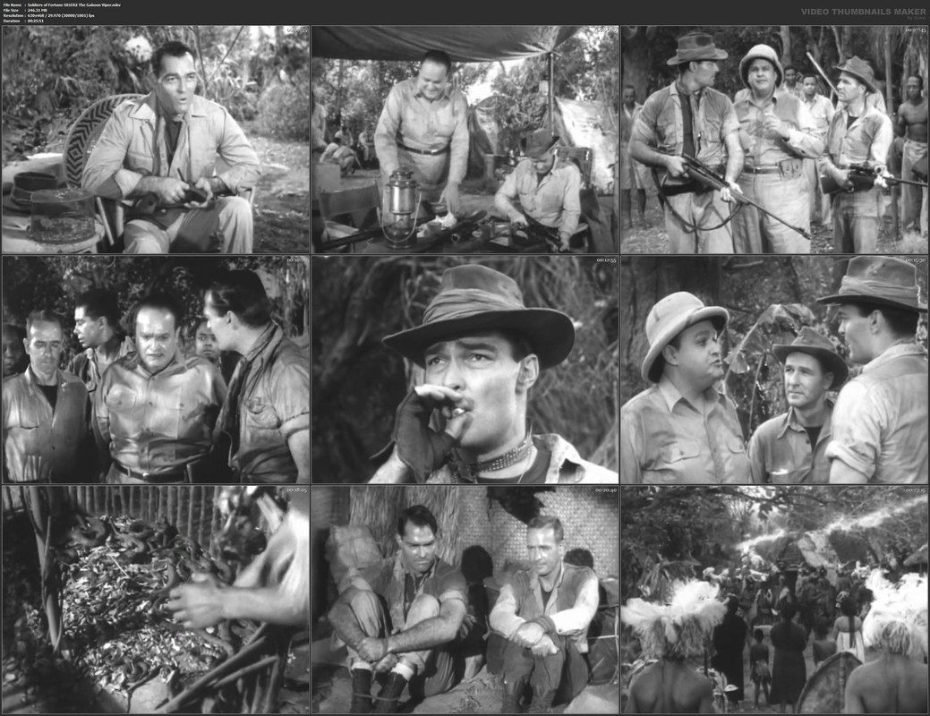 Soldiers of Fortune S01E02 The Gaboon Viper.mkv