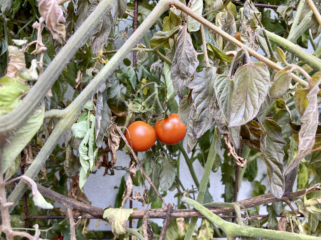 859045D3-EBEF-4688-88D2-69590F5248B9