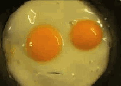 QLs9.gif