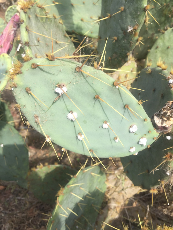 BFE78633-F9CB-4E36-8E54-0C7932965047