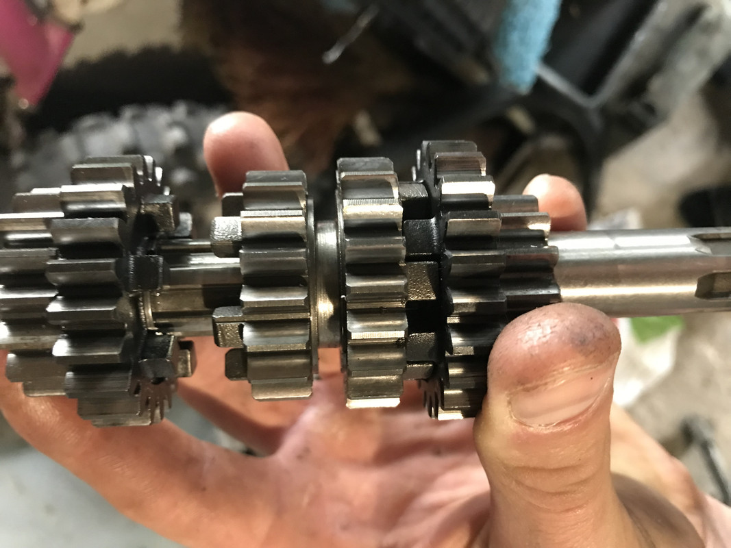 714F7C5B-B51D-403F-889B-EB1430968E89