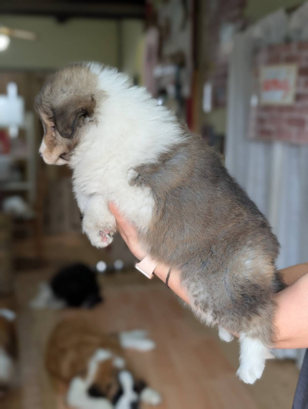ふゆちゃん アップ