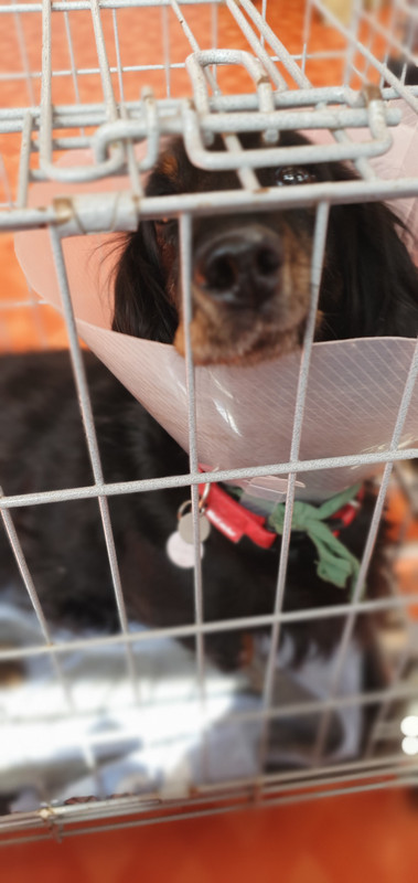 [Image: 20230807-144234.jpg]