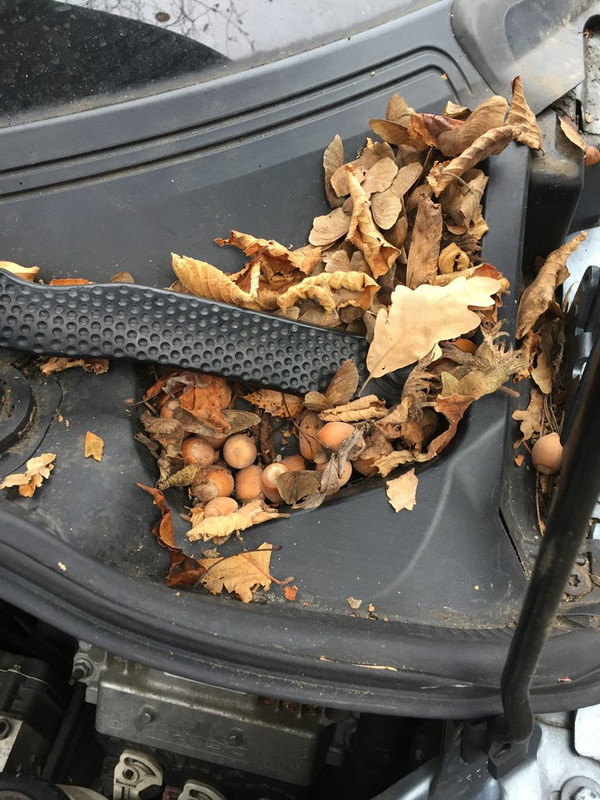 AA999D30-6276-47B7-9022-D84073C1CC12