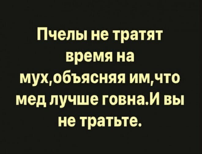 пчелыc8ad39f50077d20d62f263f9256f3838