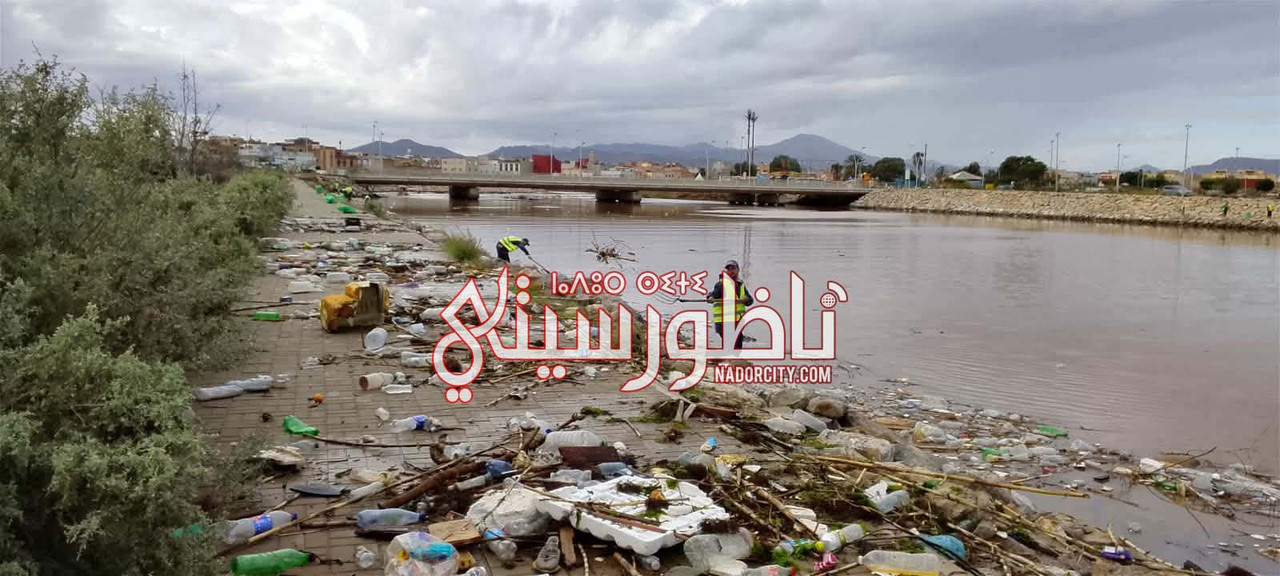 610591192-899940069103307-5337095374551862475-n