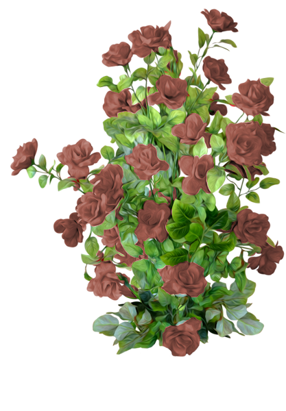 TADD_BrownLove_elements (5)