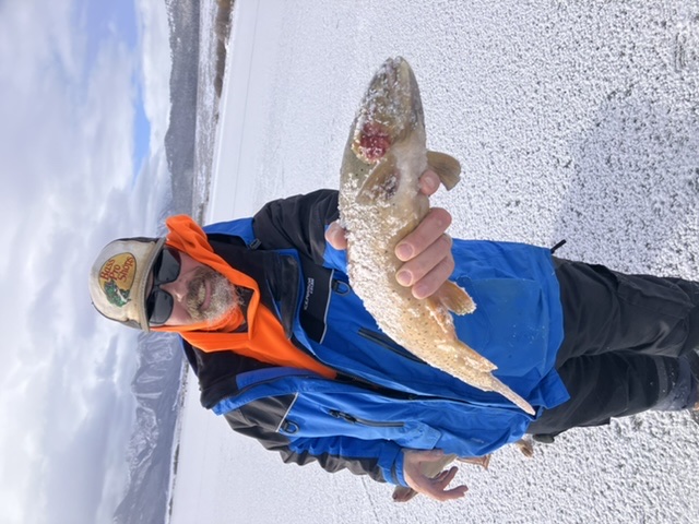 793CC692-FDA6-42ED-8C09-75D46FB85036