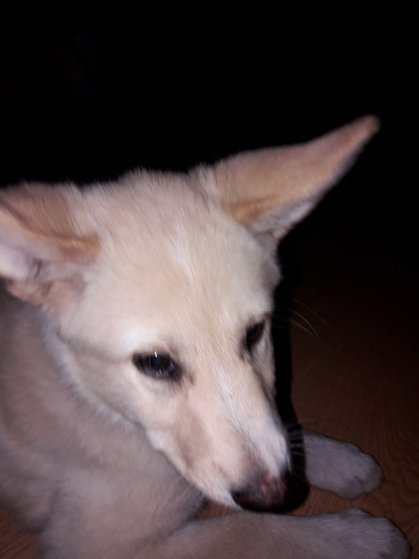 FF6DC49E-387A-4F7D-8F6A-9AEB7959E8DF