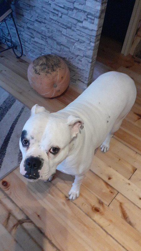 C29AB174-3A98-49A2-B79C-3AFBBFFA87B8