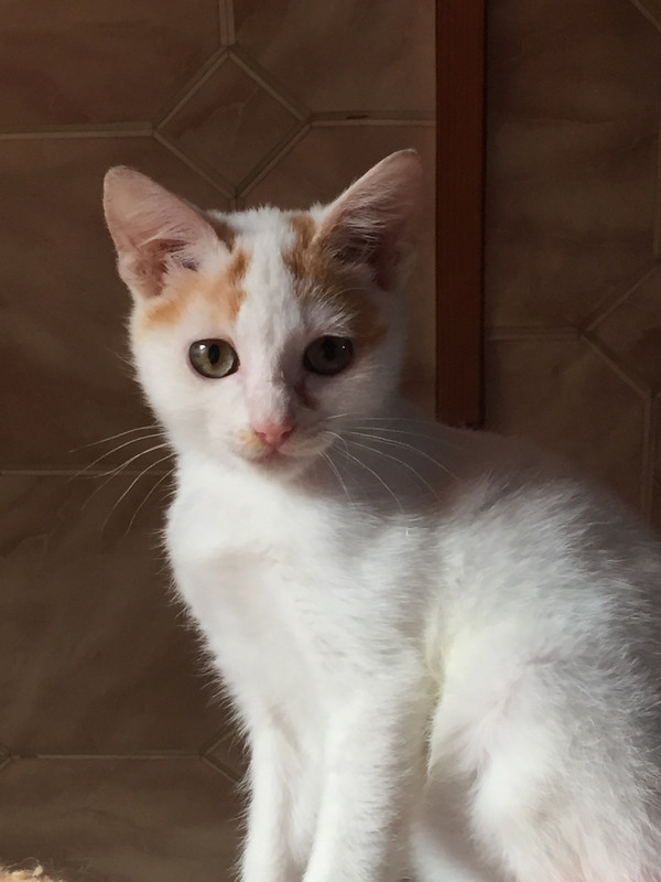 068EBA36-B267-498B-9882-BE155B94EB09