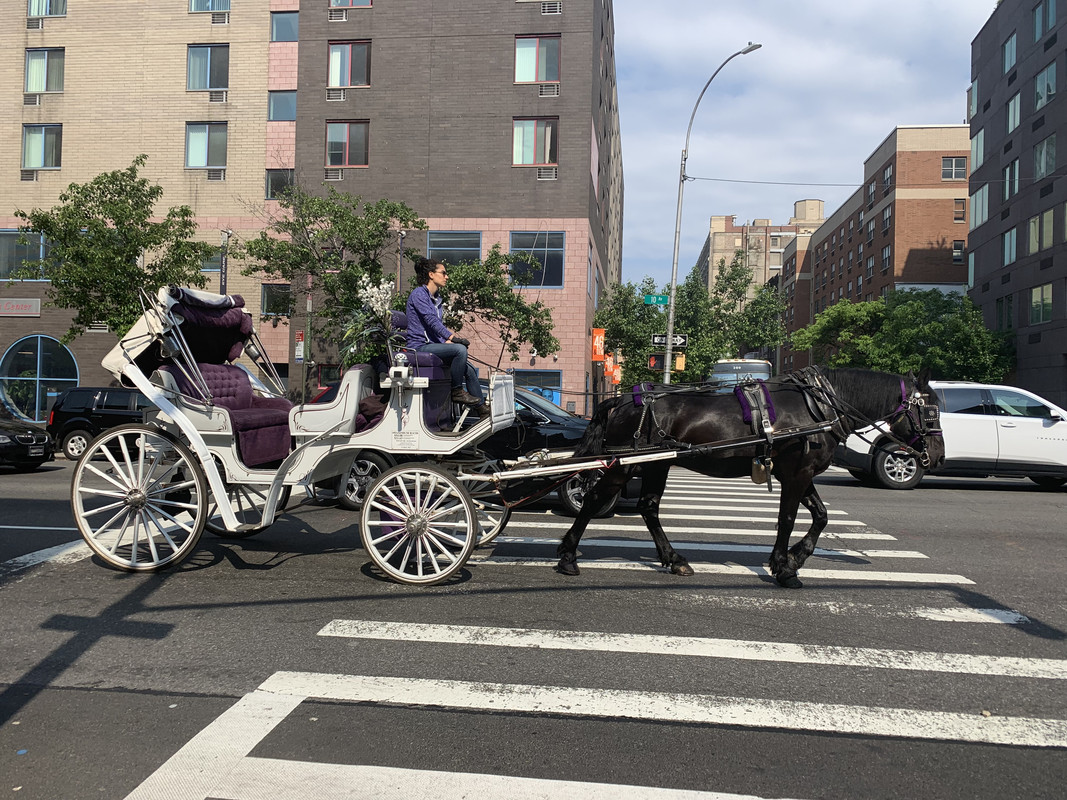 7D3F36D1-14EA-4419-8664-13A8B1A2A291