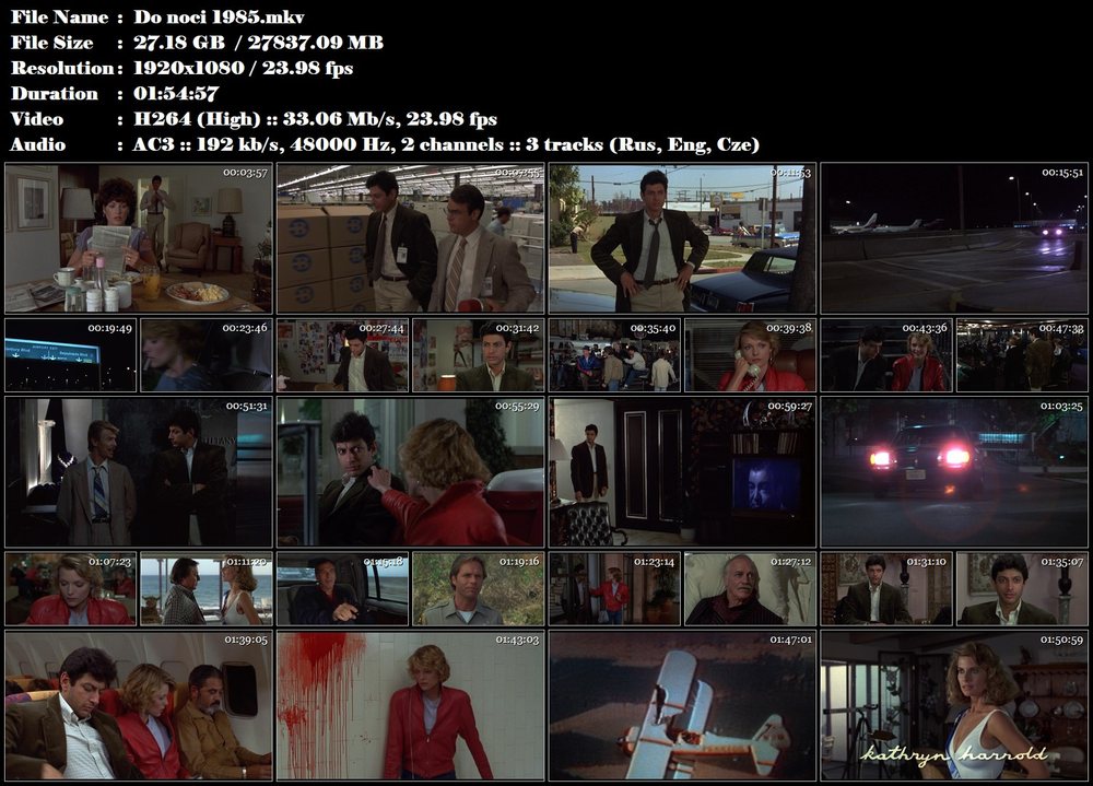 Re: Do noci / Into the Night (1985)