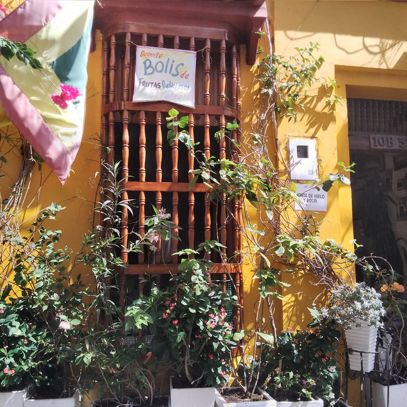 Зимовка 2026, полтора месяца в Колумбии.