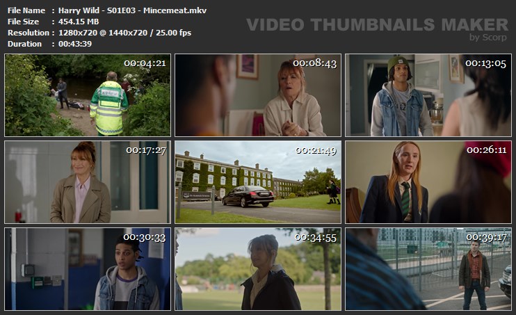 Harry Wild - S01E03 - Mincemeat.mkv