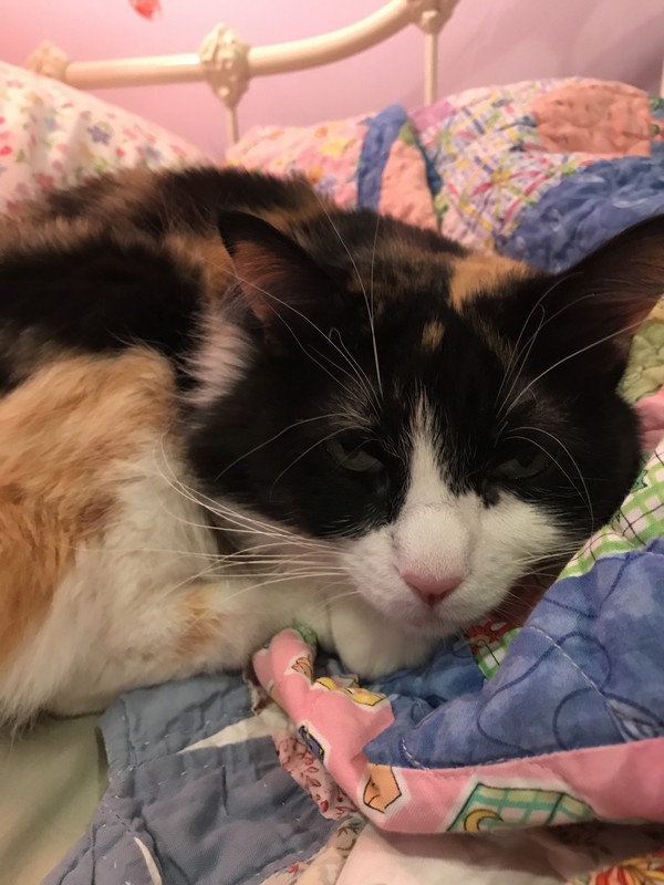 63478242752__CD728AC4-7B7E-407E-B932-7FF5E2237777