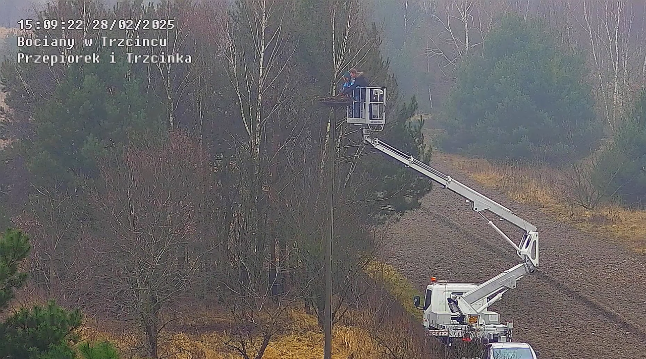 28022025tworzeniegniazda1