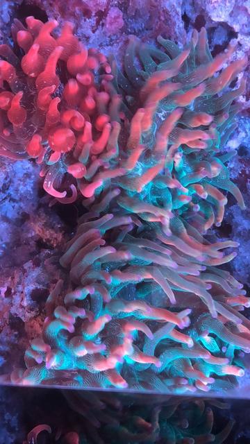 110514CD-6E65-4B69-B9EC-66811F4760DC