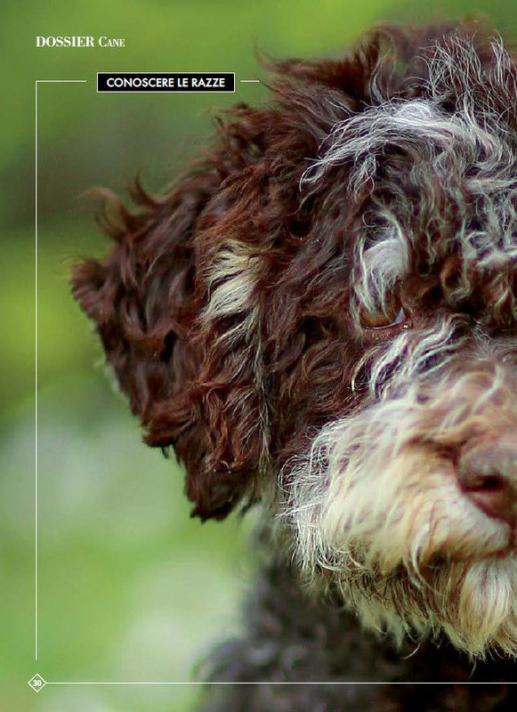 Argos Ott-Nov 2023 (1)