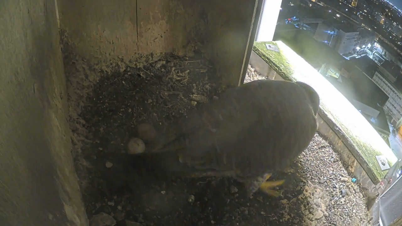 Schermafbeelding 2026 04 04 212657