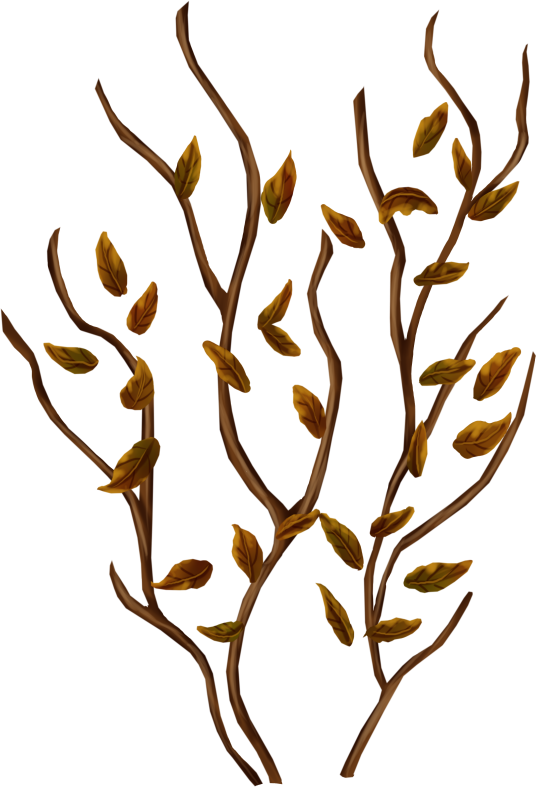 Pumpkinfairykitpudnplants2