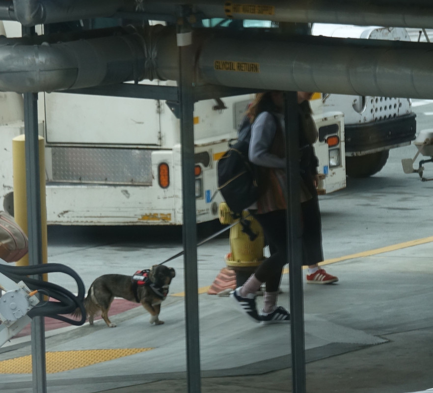 emmawatson-photogallery.blogspot.com (23)