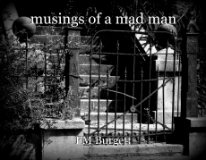 Musings of a Mad Man thumbnail