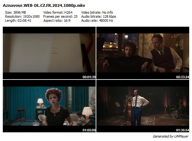 Aznavour / Monsieur Aznavour (2024)