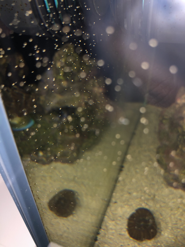 397E27B9-E56E-4A68-8FCC-8FD4EE12EA8B