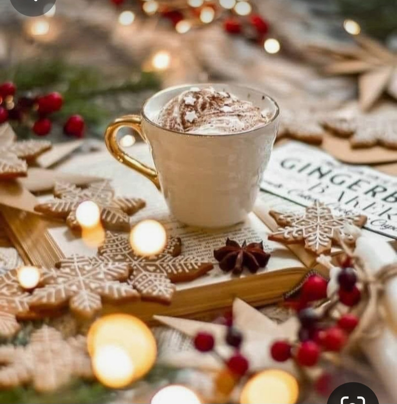 Screenshot_20231120_230727_Pinterest