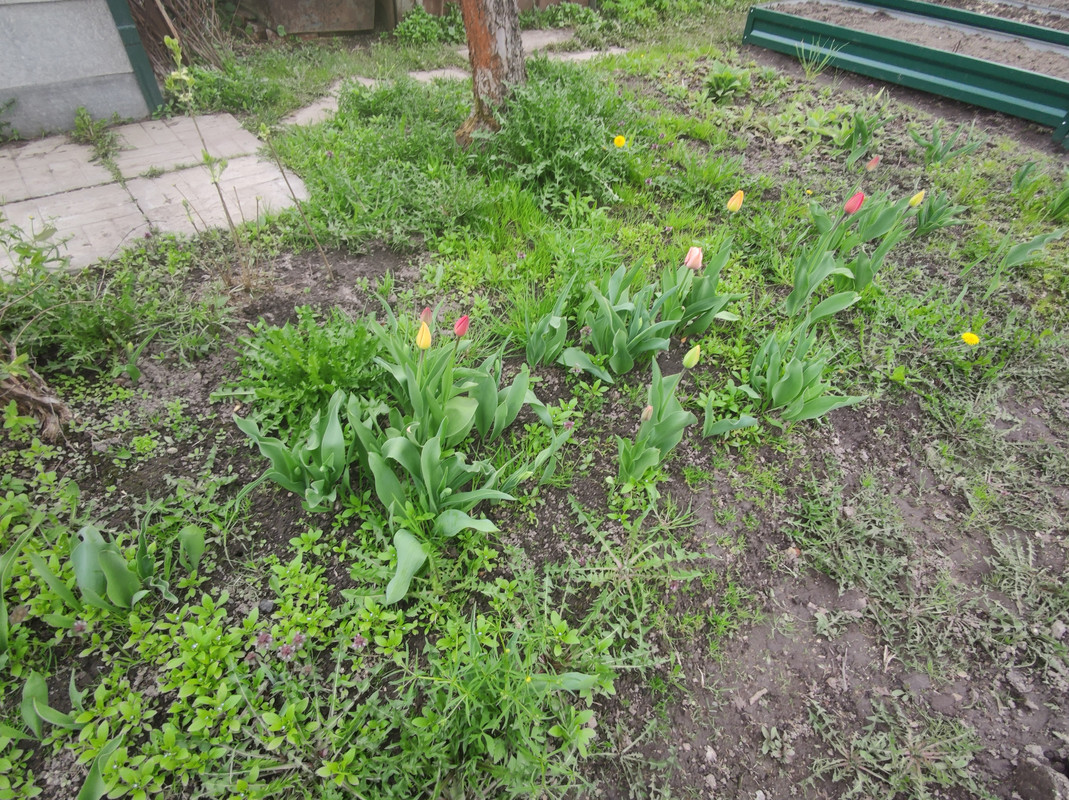 IMG-20220512-162211.jpg