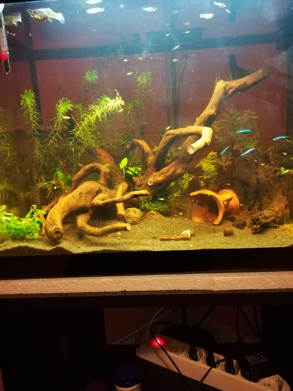 IMG_20180108_194849 (1)