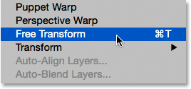 edit-free-transform