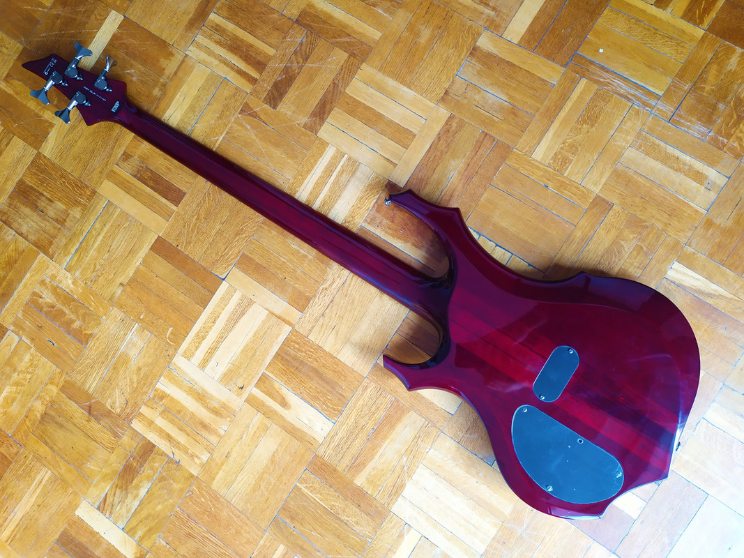 f4 back (2)