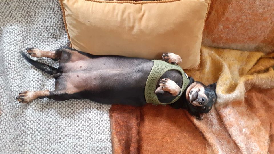 [Image: Resized-20220717-184854.jpg]