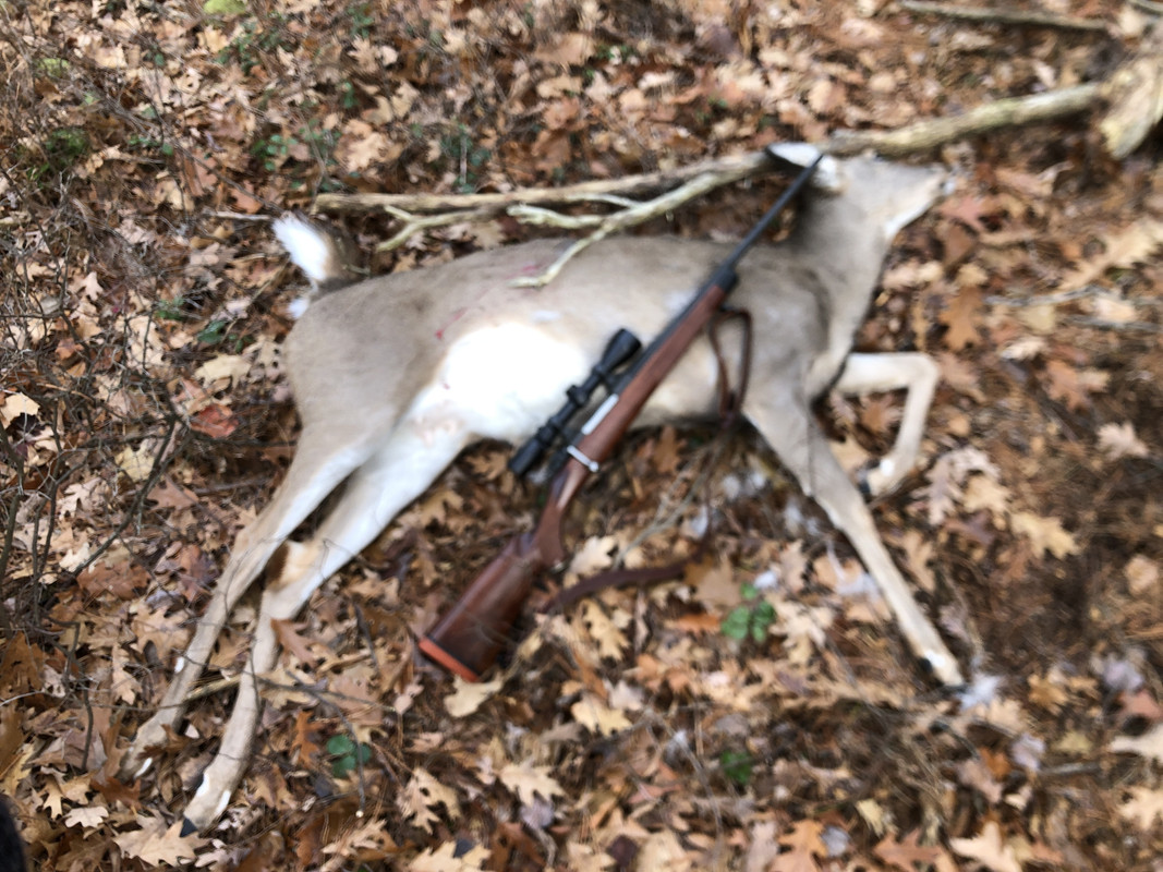 A91F4658-D297-4DE7-9571-9C2E6B3F4F89