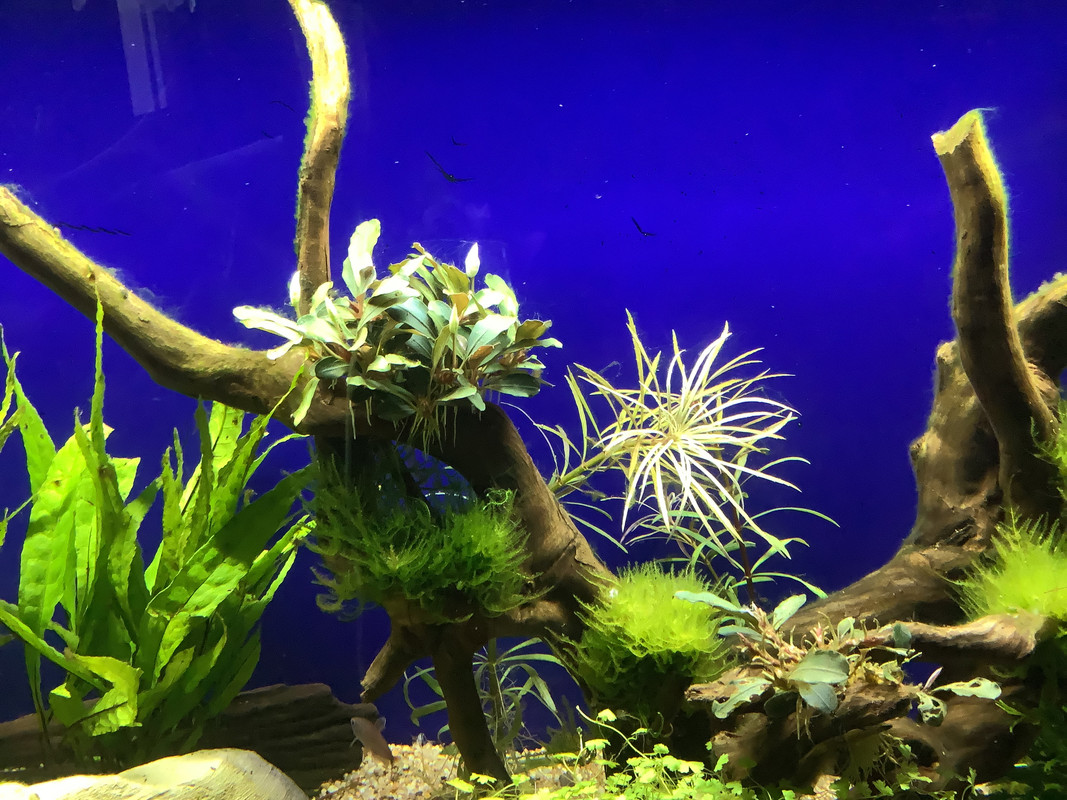 A88C5B27-7026-4C64-AD4A-C1A7046BD4DD