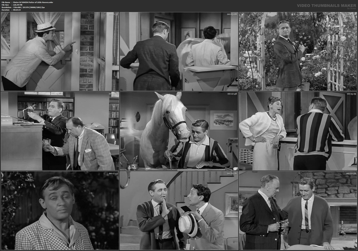 Mister Ed S04E04 Patter of Little Hooves.mkv