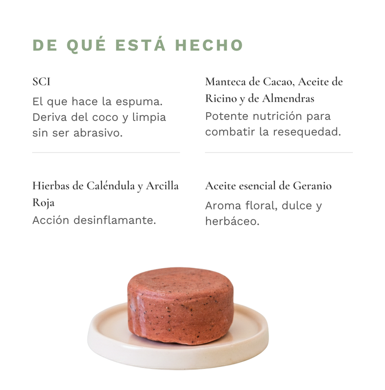 De qu&eacute; est&aacute; hecho &mdash; Shampoo S&oacute;lido Seco