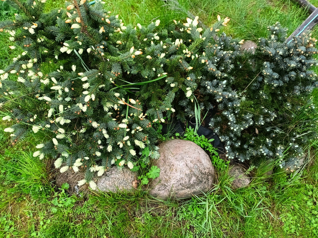 IMG20250524202606