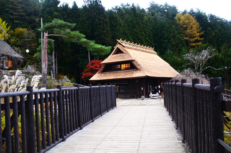 Saiko Iyashi no Sato Nenba-16-11-2024 - Japón y sus Pueblos-2024 (24)