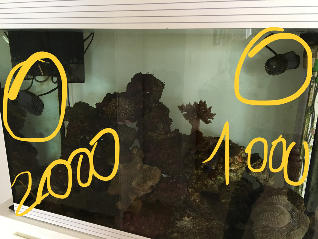 119ACA09-7C89-4988-A2D4-F1AB1814ED10