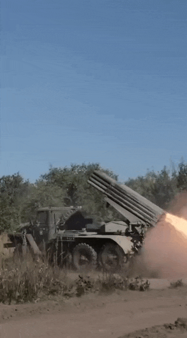 https://i.postimg.cc/44LdZ9D9/video-2026-07-22-01-10-33-(1).gif