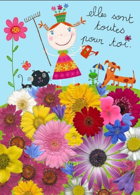 [Image: IMG-7672.jpg]