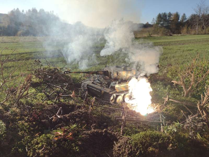 IMG_20241024_153830860_BURST016