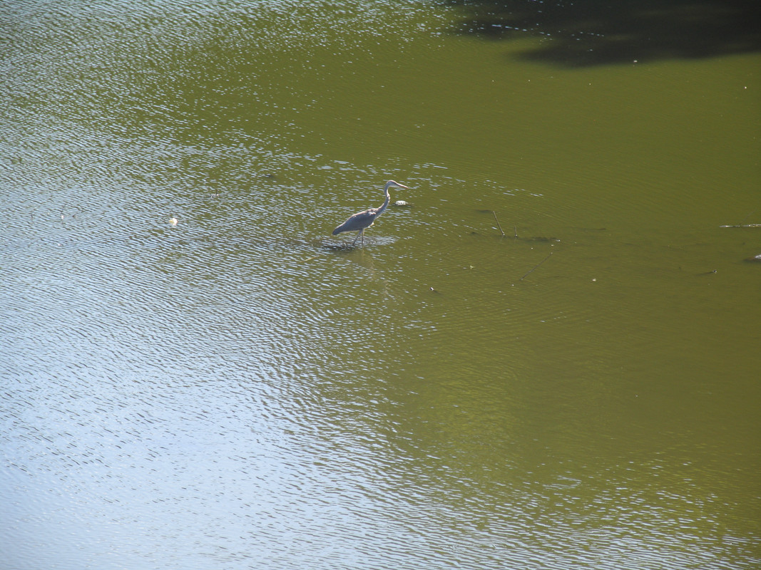 21 Июля 2024 039