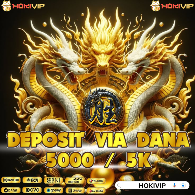HOKIVIP