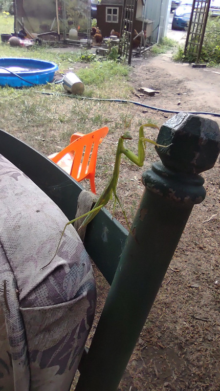 IMG_20250731_162800014