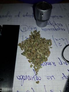 E2ED9640-811E-4815-B4AA-FF9BA7B87B70